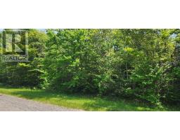 Acreage Greys Road Road, Wood Islands, PE C0A1R0 Photo 2