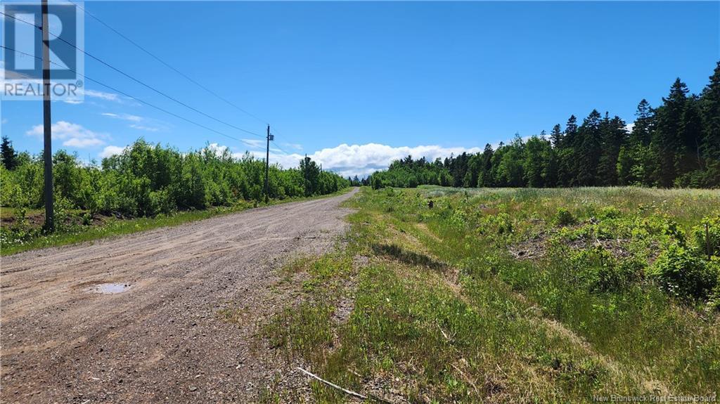 4034 Sm 1 De 4 Rue Alfreda