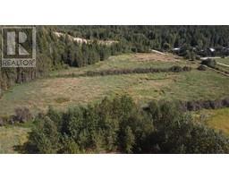 Lot 2 Oxbow Frontage Road, Malakwa, BC V0E2J0 Photo 4