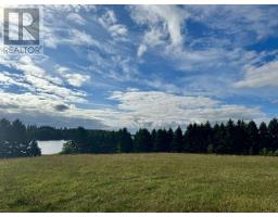 0 Geneva King, Image 3