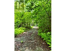 Lot 2 Highway Pokiok, Hawkshaw, NB E6G1N7 Photo 2