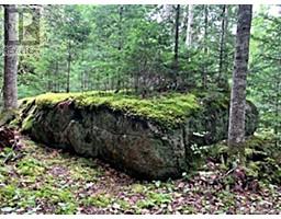 Lot 2 Highway Pokiok, Hawkshaw, NB E6G1N7 Photo 5