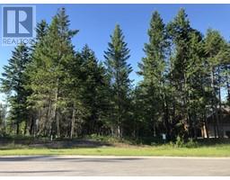 1398 Pine Drive, Golden, BC V0A1H1 Photo 3