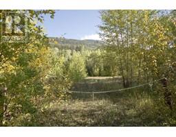 Dl 6034 E 16 Highway, Valemount, BC V0E2Z0 Photo 4