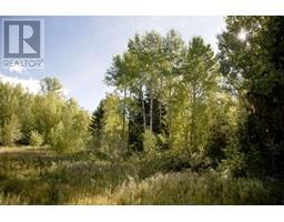 Dl 6034 E 16 Highway, Valemount, BC V0E2Z0 Photo 5