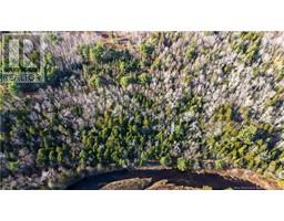 Lot Desherbiers Road, Saintignace, NB E4X2B9 Photo 5