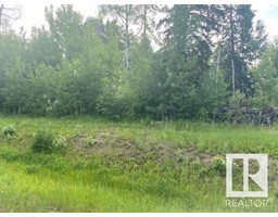 12 Fraser Dr, Breton, AB T0C0P0 Photo 2