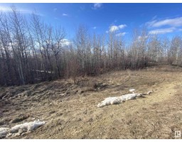 14 54419 Rge Rd 14, Rural Lac Ste Anne County, AB T0E1V0 Photo 5
