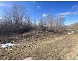 14 54419 Rge Rd 14, Rural Lac Ste Anne County, AB T0E1V0 Photo 3
