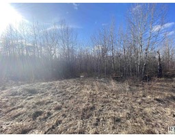 14 54419 Rge Rd 14, Rural Lac Ste Anne County, AB T0E1V0 Photo 4