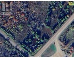 Lot 13 Forest Hill Drive, Central West River, NS B0K1P0 Photo 2