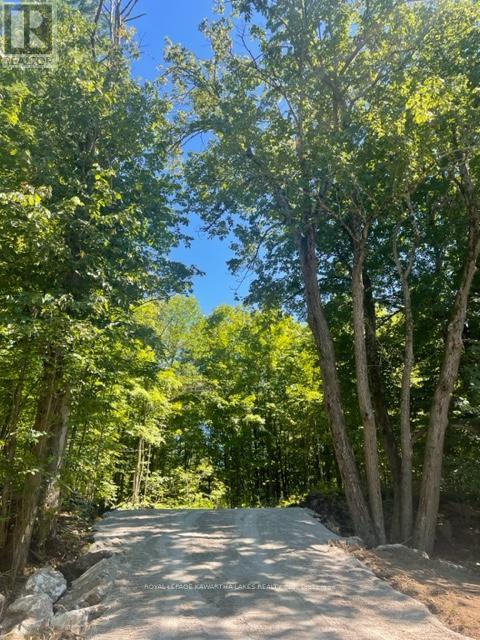 Lt 33 Benson Boulevard