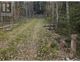 Lot Upper Cape Road, Botsford, NB E4M2W7 Photo 5