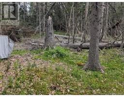 Lot Upper Cape Road, Botsford, NB E4M2W7 Photo 4