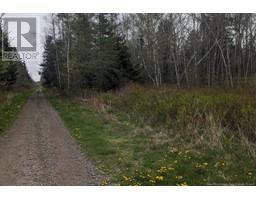 Lot Upper Cape Road, Botsford, NB E4M2W7 Photo 3