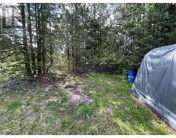 Lot 7 Malakwa Road, Malakwa, BC V0E2J0 Photo 5