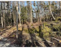 Lot Egypt Road, Pleasant Lake, NS B5A1L8 Photo 5