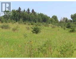 48 Street 53 Avenue, Benalto, AB T0M0H0 Photo 5