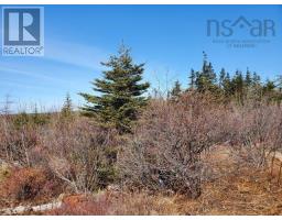 Rockys Lane, Central Woods Harbour, NS B0W2E0 Photo 3