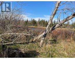 Lots 1 2 21 22 Wildwood Court Cross Shores Estates, Wellington, PE C0B1Y0 Photo 5