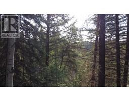 Lot B Bryce Road, Forest Grove, BC V0K1M0 Photo 5