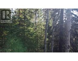 Lot B Bryce Road, Forest Grove, BC V0K1M0 Photo 4