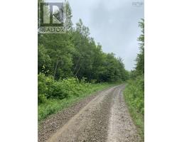Old Halifax Road, Salt Springs, NS B0M1X0 Photo 2