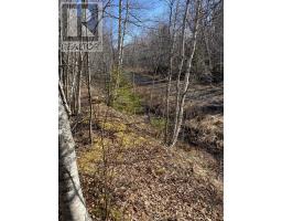 Old Halifax Road, Salt Springs, NS B0M1X0 Photo 3