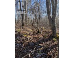 Old Halifax Road, Salt Springs, NS B0M1X0 Photo 5