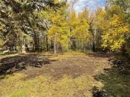 63 Stewart Avenue, Kelwood, MB R0J0Y0 Photo 4