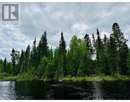 116 Mcmanus St, Balmertown, ON P0V1C0 Photo 2