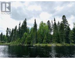 116 Mcmanus St, Balmertown, ON P0V1C0 Photo 3