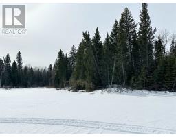 116 Mcmanus St, Balmertown, ON P0V1C0 Photo 4