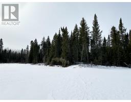 116 Mcmanus St, Balmertown, ON P0V1C0 Photo 5