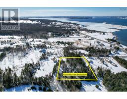 Polar Bear Lane, Image 3