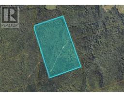 Flint Hill Road, Prosser Brook, NB E4Z1S8 Photo 2