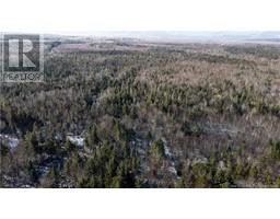 Flint Hill Road, Prosser Brook, NB E4Z1S8 Photo 5