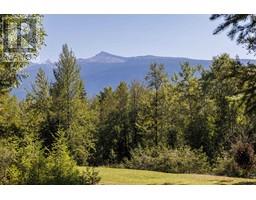 Foyer - 4040 Mountain View Road, Mcbride, BC V0J2E0 Photo 4