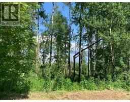 Lot 8 A Bartlett Way, Widewater, AB T0G2M0 Photo 4