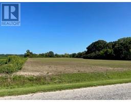 557 Henderson Road, Pelee Island, ON N0R1M0 Photo 2