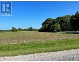 567 Henderson Road, Pelee Island, ON N0R1M0 Photo 2