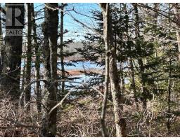 Lot Bridge Road, New Elm, NS B0T1X0 Photo 3