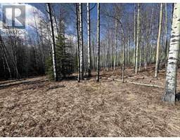 Lot 17 Aspen Ridge Drive, Hudsons Hope, BC V0C1V0 Photo 2