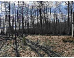 Lot 17 Aspen Ridge Drive, Hudsons Hope, BC V0C1V0 Photo 3