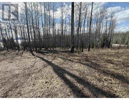 Lot 17 Aspen Ridge Drive, Hudsons Hope, BC V0C1V0 Photo 4