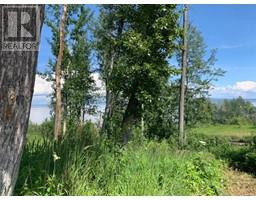 7 A Bartlett Way, Widewater, AB T0G2M0 Photo 4