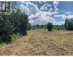 7 A Bartlett Way, Widewater, AB T0G2M0 Photo 5