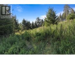 143 Blue Stone Dr, Salt Spring, BC V8K1A6 Photo 3