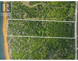 Highway 308, Morris Island, NS B0W3M0 Photo 4