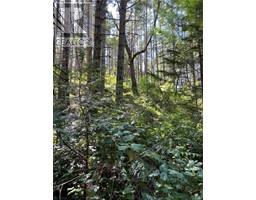 Lot 36 Ruxton Island, Ruxton Island, BC V0V0V0 Photo 2